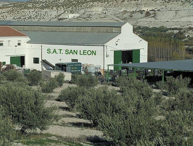 Instalaciones para encurtidos SAT San León