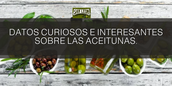 Datos curiosos e interesantes sobre las aceitunas.